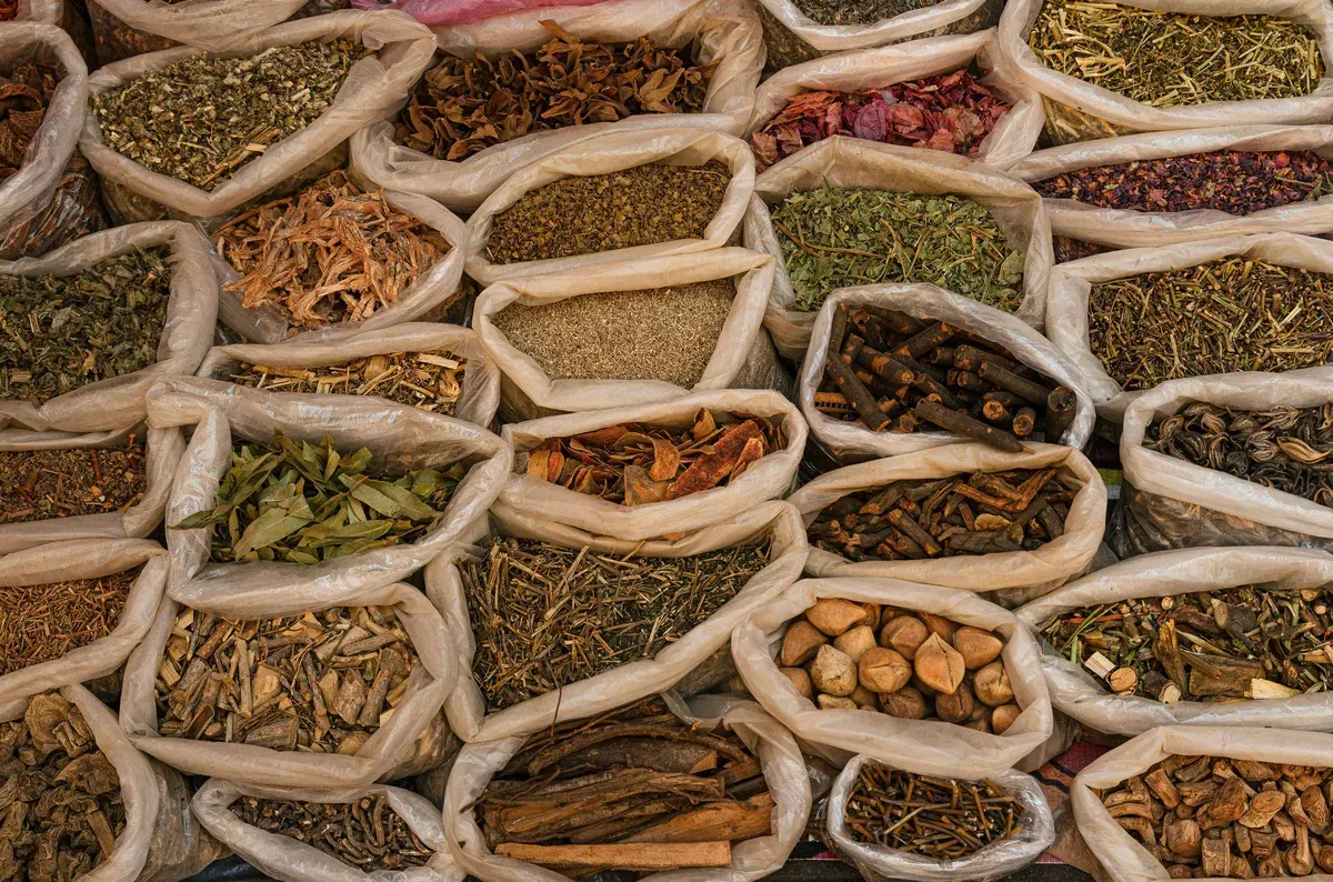 Zanzibar spice farms
