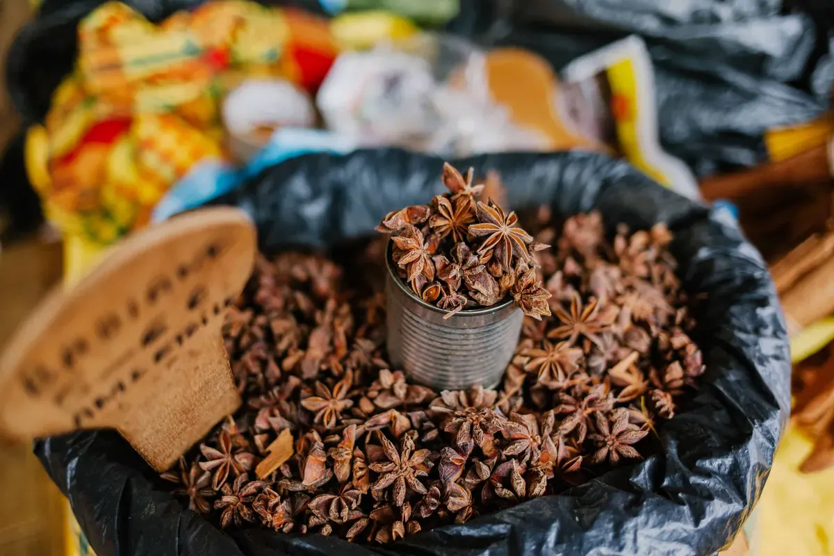 Zanzibar spice farms