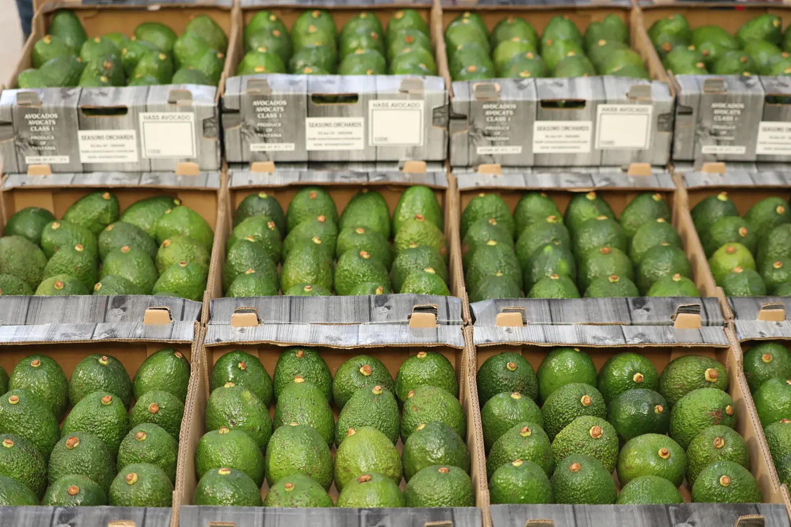 Fresh Produce