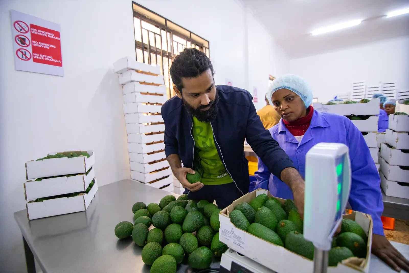 Tanzania's Horticulture Revolution: Why the World Should Be Watching