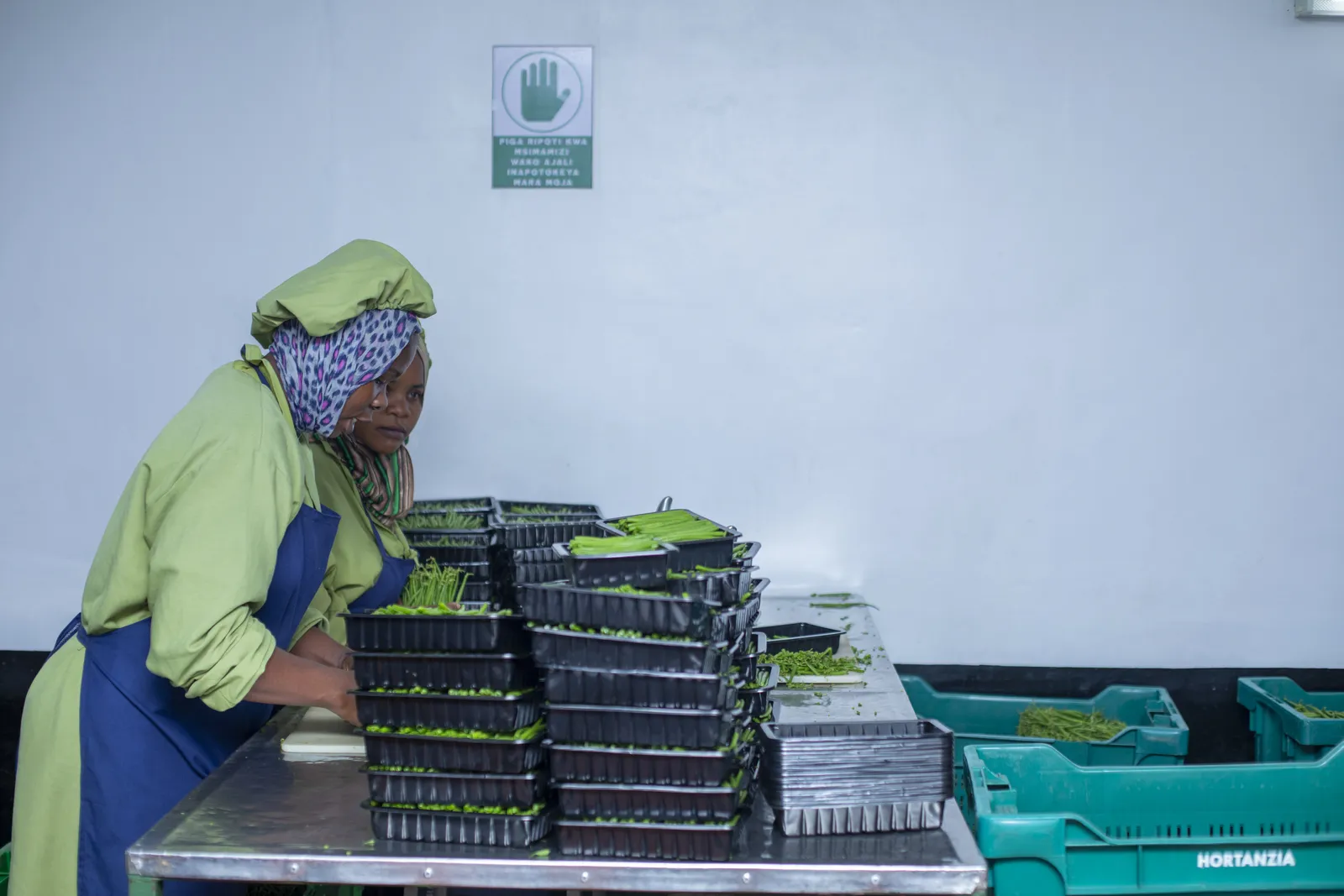 Cold chain logistics and produce packaging