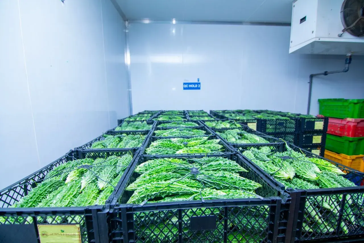 Seeds, crop inputs and post-harvest processing equipment