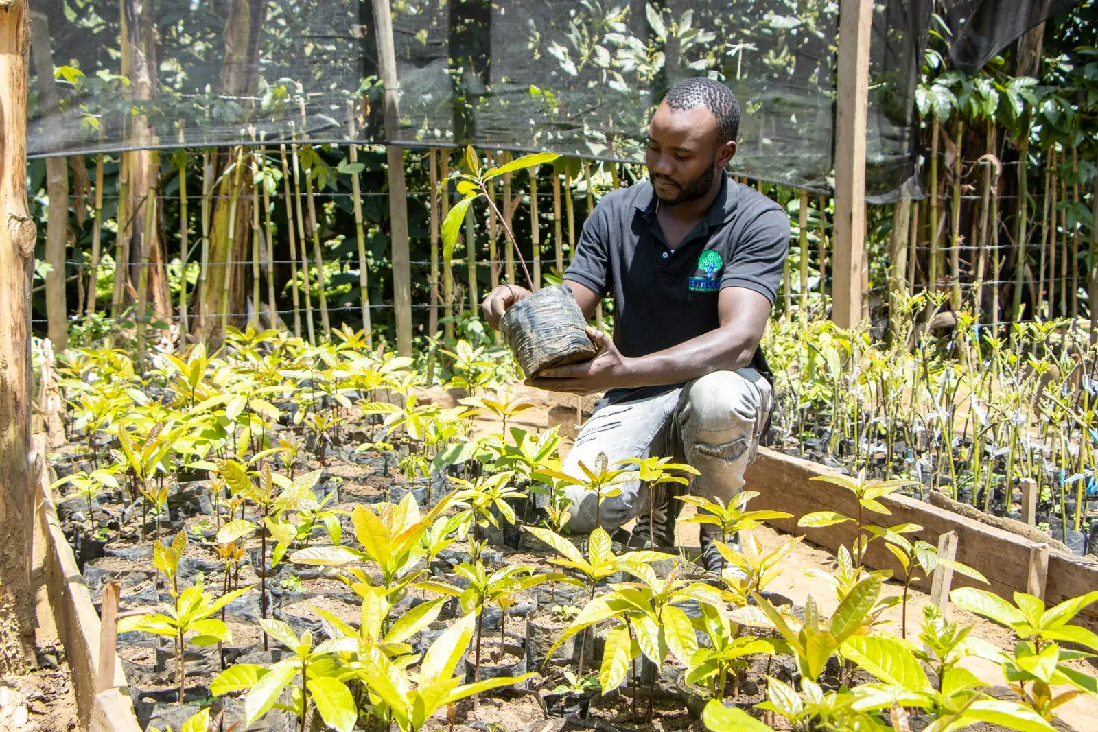 Seeds, crop inputs and post-harvest processing equipment
