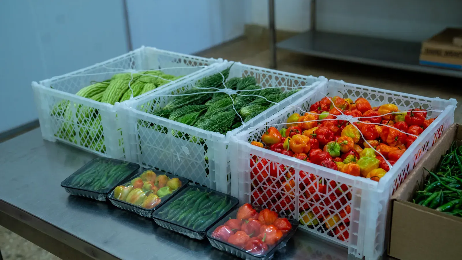 Cold chain logistics and produce packaging