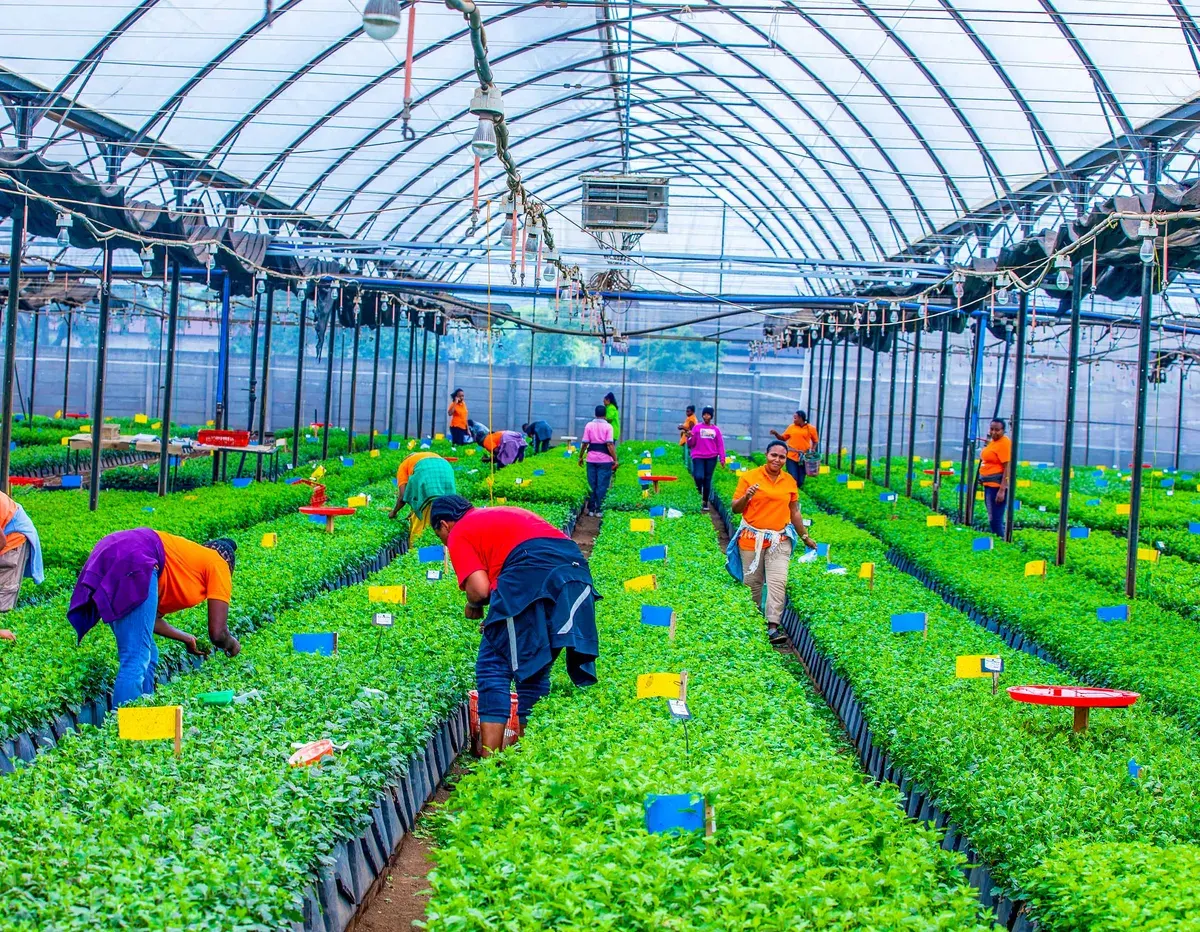 Agricultural technology and smart farming innovation