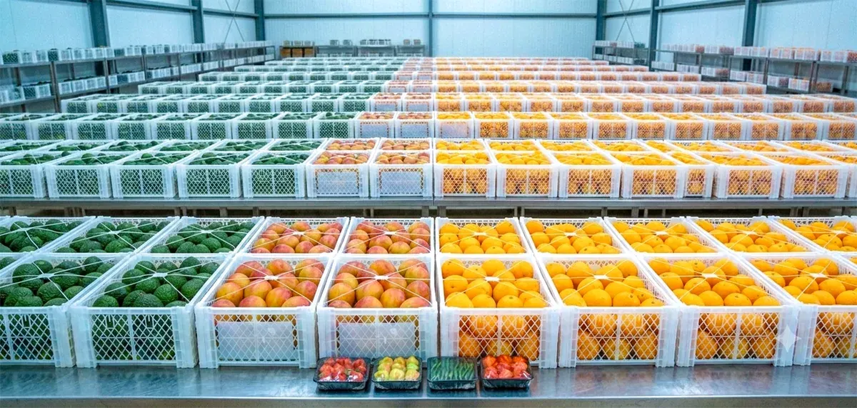 Fresh produce at an international trade fair