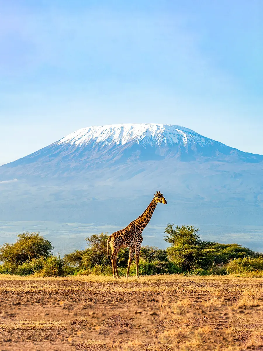 Mount Kilimanjaro