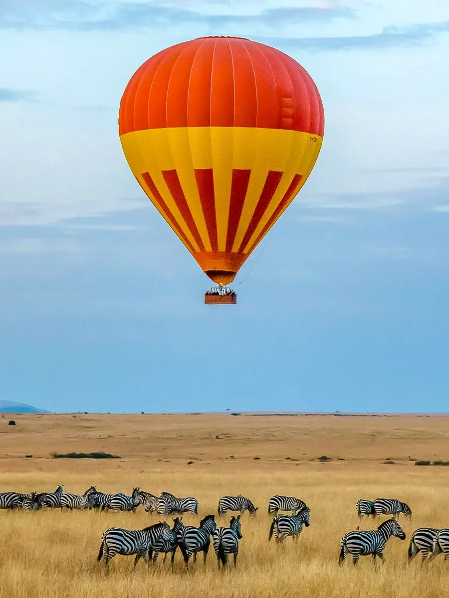 Safari & Wildlife