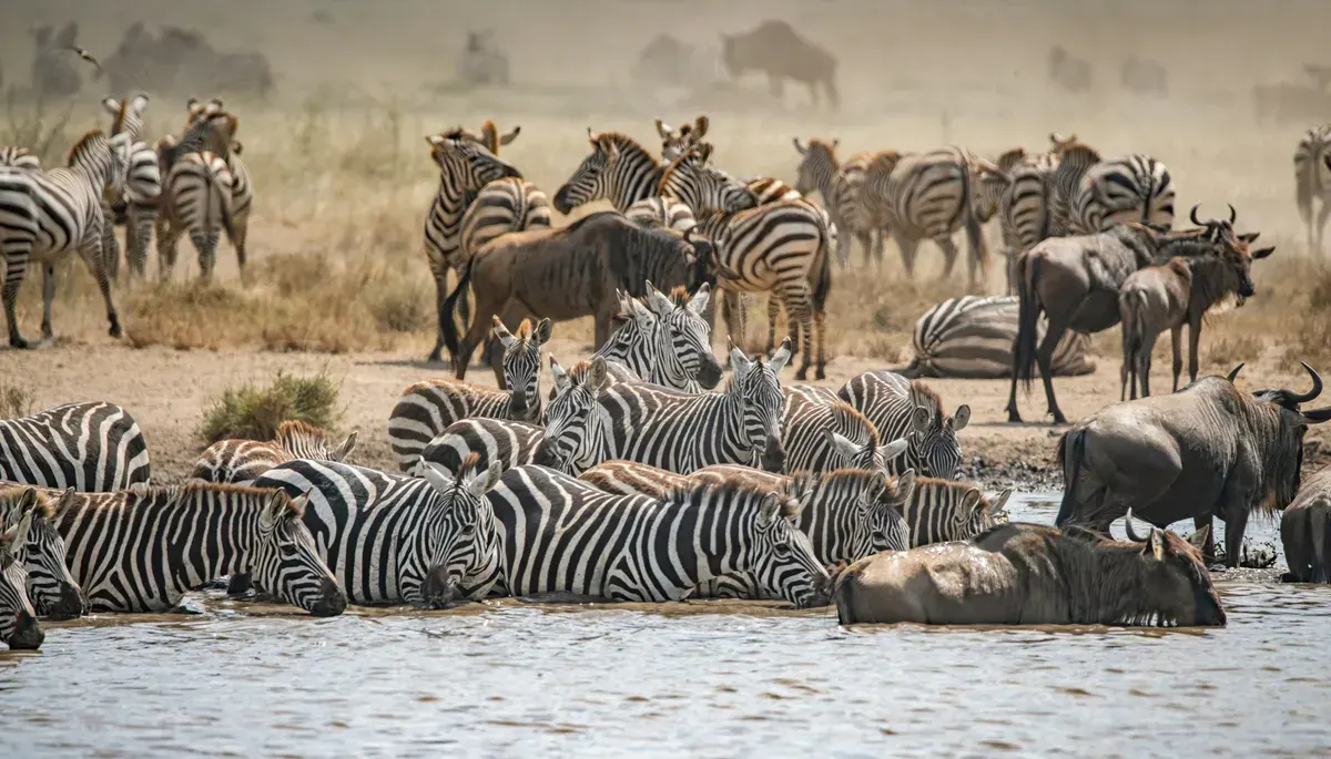 Arusha, Tanzania