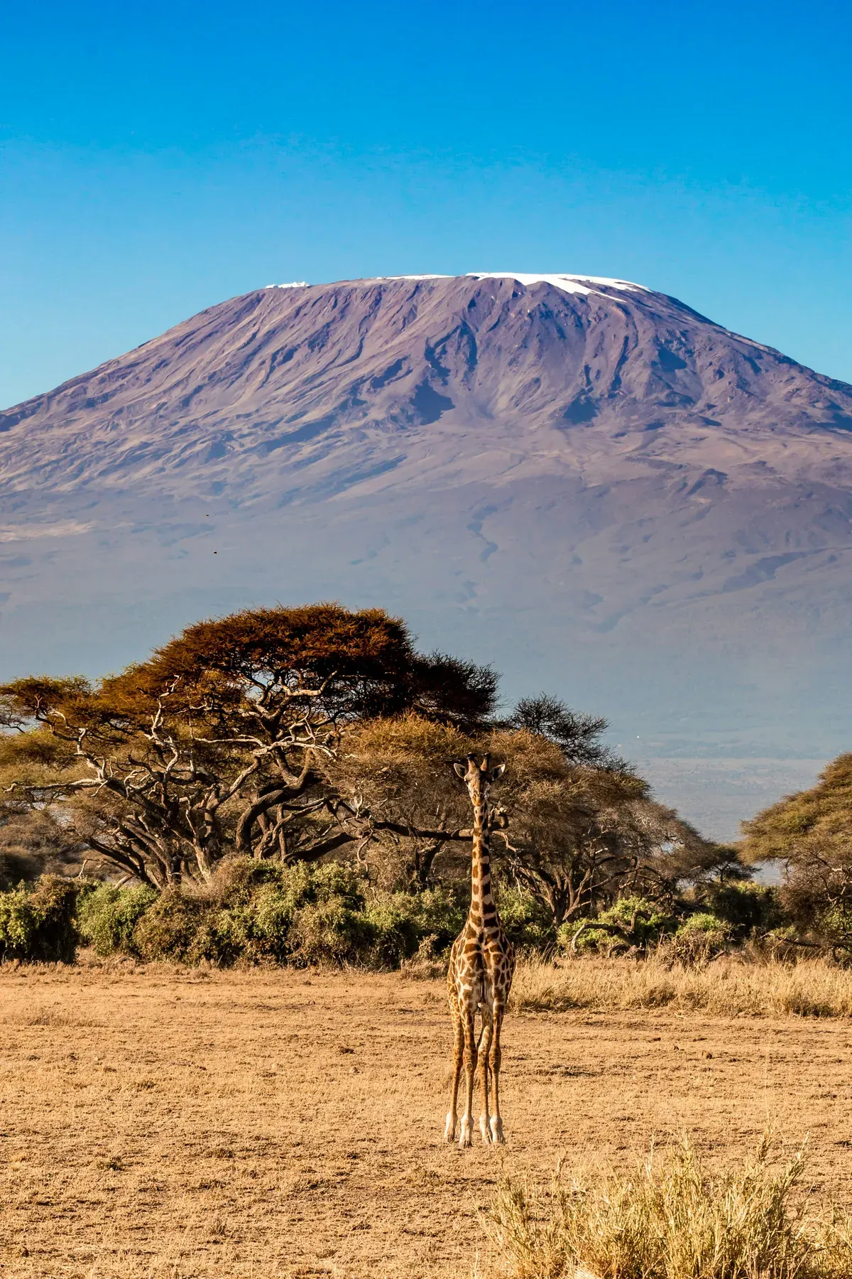 Mount Kilimanjaro