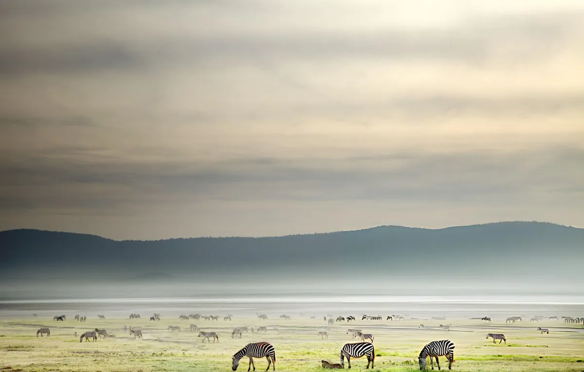 Tanzania