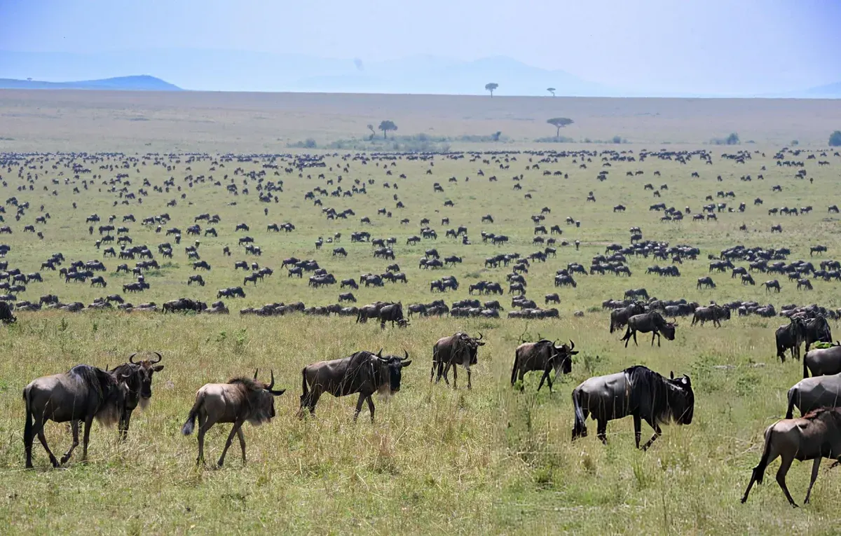 Arusha, Tanzania
