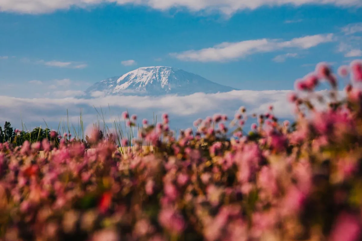 Mount Kilimanjaro